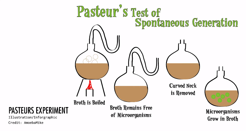 Pasteurs Experiment