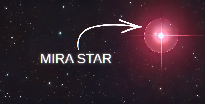 Mira Star
