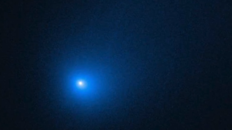 Comet From Another Solar System